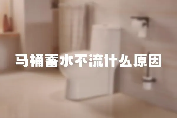 馬桶蓄水不流什么原因
