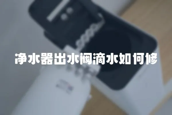 凈水器出水閥滴水如何修