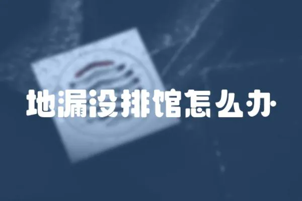 地漏沒排館怎么辦