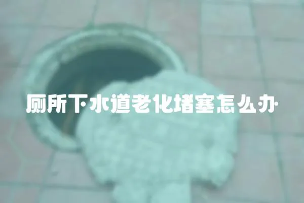 廁所下水道老化堵塞怎么辦