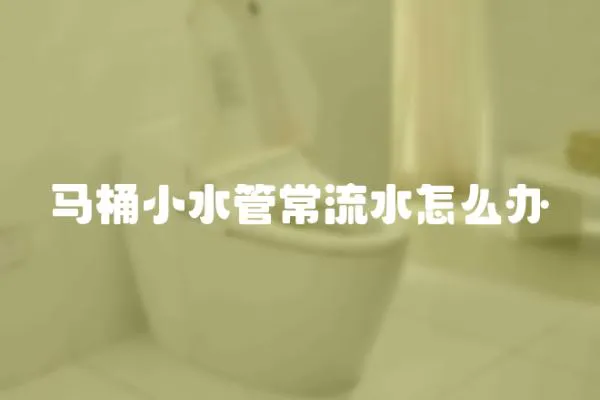 馬桶小水管常流水怎么辦