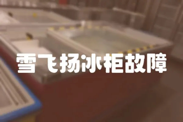 雪飛揚冰柜故障