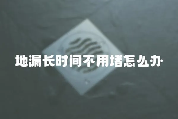 地漏長時間不用堵怎么辦