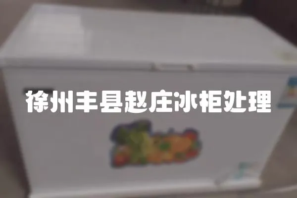 徐州豐縣趙莊冰柜處理