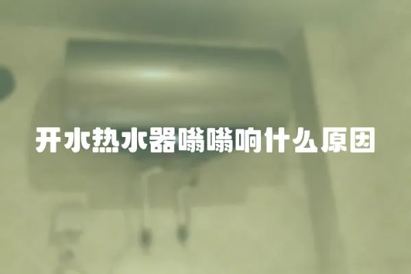 開水熱水器嗡嗡響什么原因