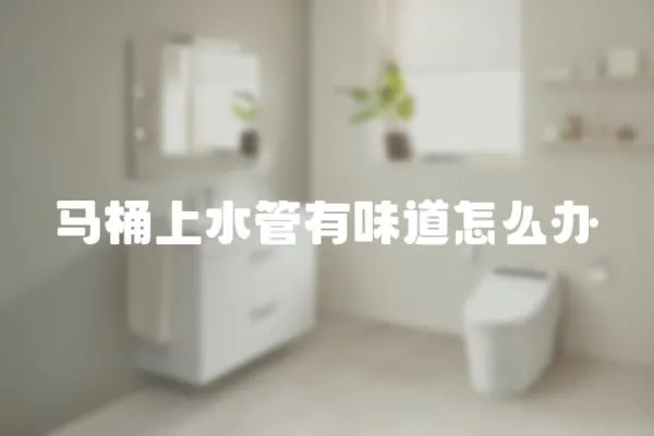 馬桶上水管有味道怎么辦