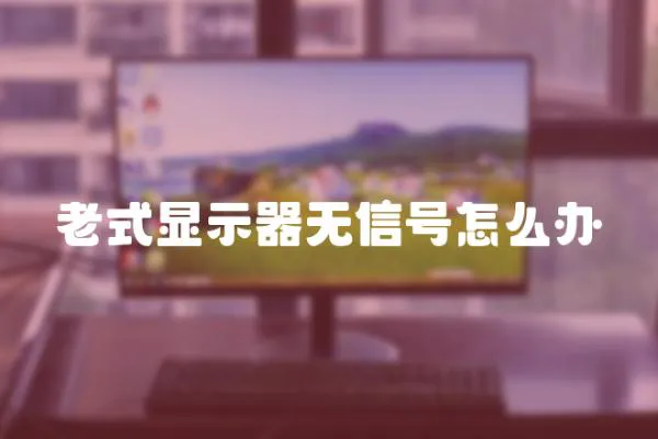 老式顯示器無信號怎么辦