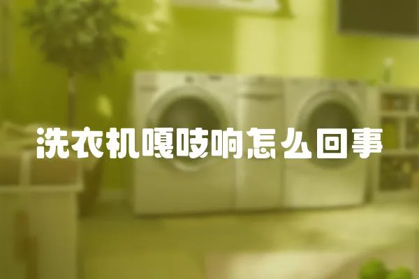 洗衣機嘎吱響怎么回事