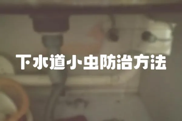 下水道小蟲防治方法