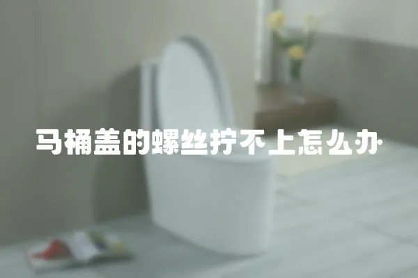 馬桶蓋的螺絲擰不上怎么辦