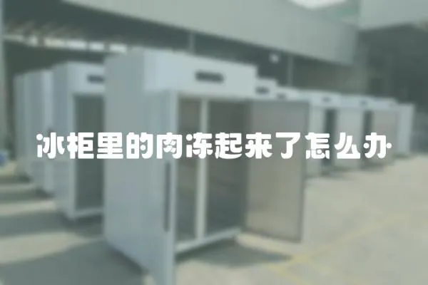 冰柜里的肉凍起來了怎么辦