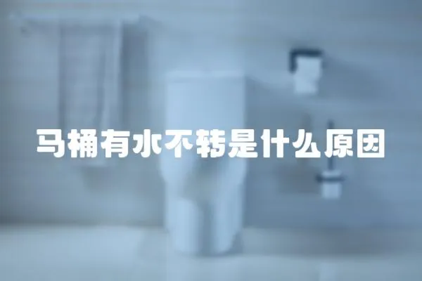 馬桶有水不轉(zhuǎn)是什么原因