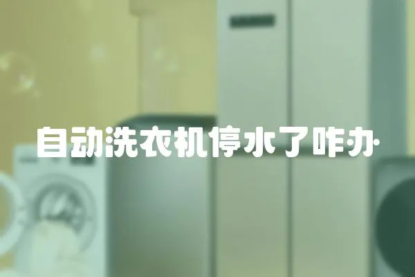 自動洗衣機停水了咋辦