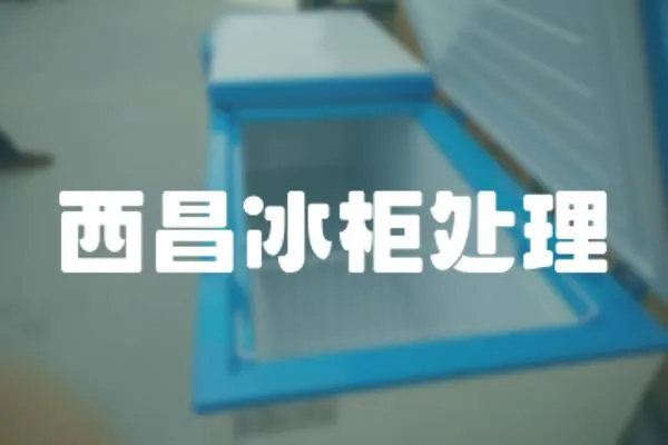 西昌冰柜處理