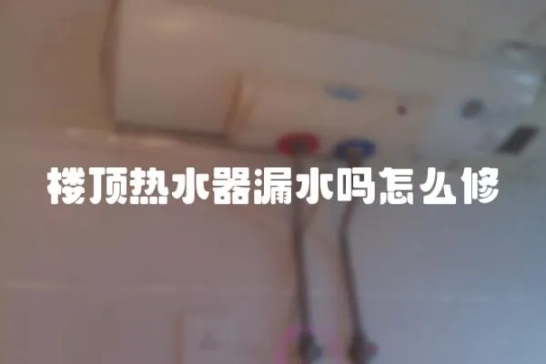 樓頂熱水器漏水嗎怎么修