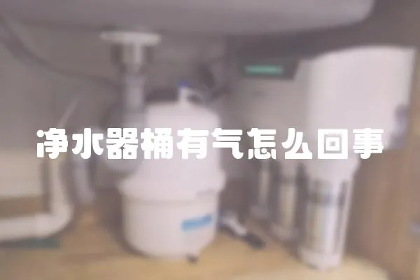 凈水器桶有氣怎么回事