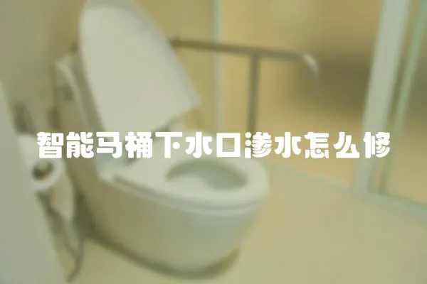 智能馬桶下水口滲水怎么修