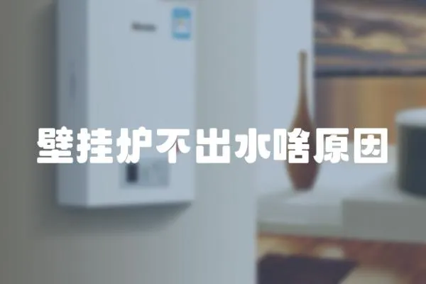 壁掛爐不出水啥原因