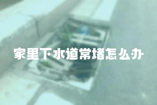 家里下水道常堵怎么辦