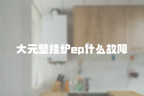 大元壁掛爐ep什么故障