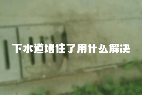 下水道堵住了用什么解決