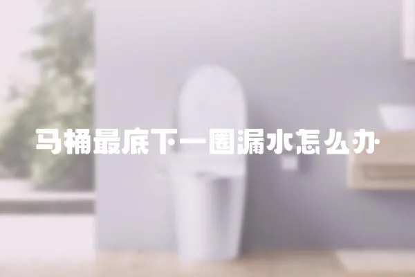 馬桶最底下一圈漏水怎么辦