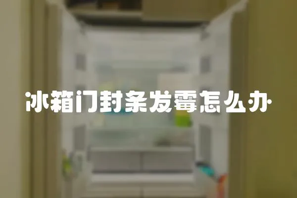 冰箱門封條發霉怎么辦