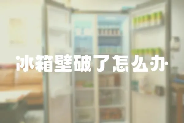 冰箱壁破了怎么辦