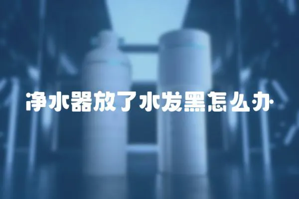 凈水器放了水發黑怎么辦