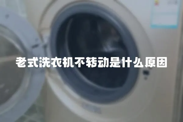 老式洗衣機不轉動是什么原因