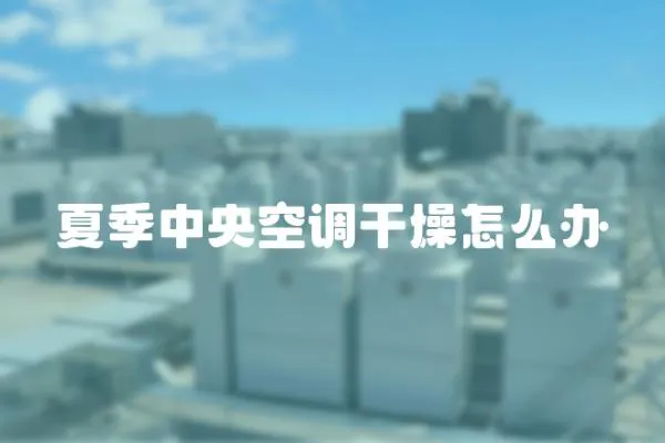 夏季中央空調(diào)干燥怎么辦