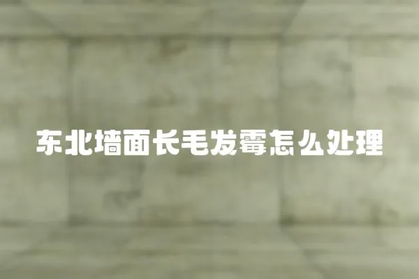東北墻面長毛發(fā)霉怎么處理