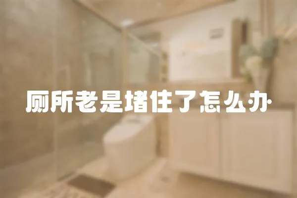 廁所老是堵住了怎么辦