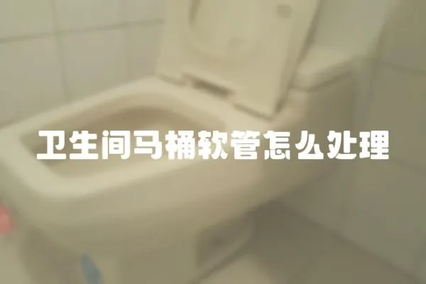 衛(wèi)生間馬桶軟管怎么處理