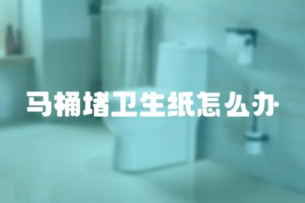 馬桶堵衛(wèi)生紙?jiān)趺崔k