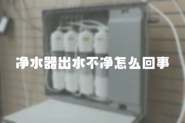 凈水器出水不凈怎么回事
