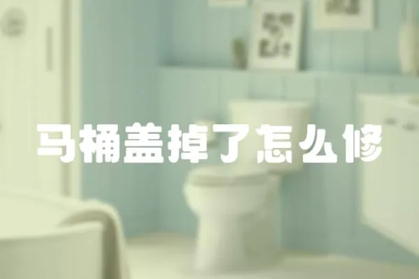 馬桶蓋掉了怎么修