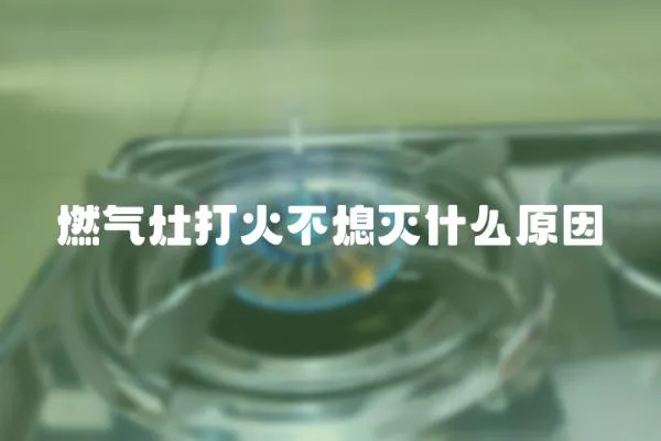 燃?xì)庠畲蚧鸩幌缡裁丛?></a></div>
                    <div   id=