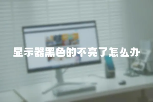 顯示器黑色的不亮了怎么辦