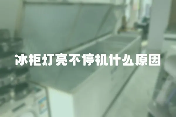 冰柜燈亮不停機什么原因