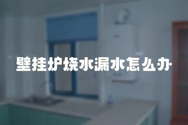 壁掛爐燒水漏水怎么辦