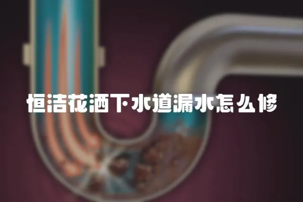 恒潔花灑下水道漏水怎么修
