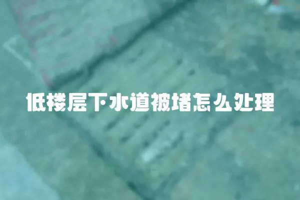 低樓層下水道被堵怎么處理
