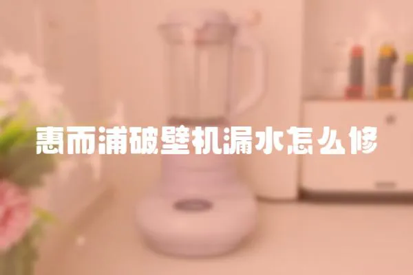 惠而浦破壁機漏水怎么修