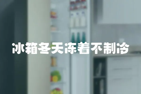 冰箱冬天凍著不制冷
