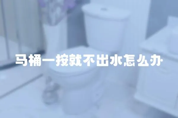 馬桶一按就不出水怎么辦