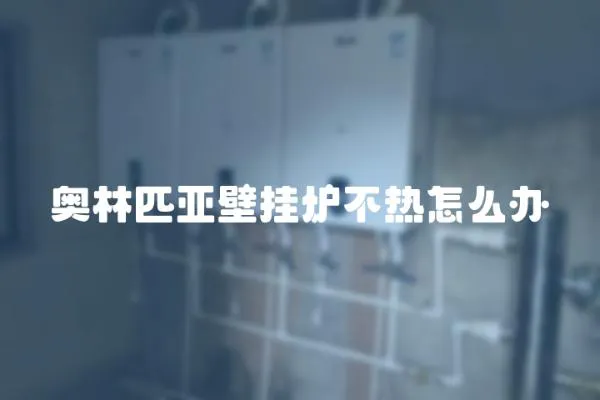 奧林匹亞壁掛爐不熱怎么辦