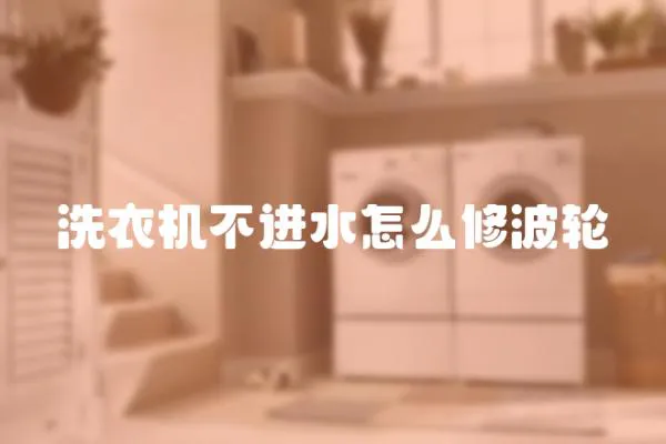 洗衣機不進水怎么修波輪