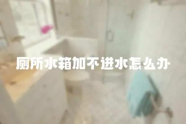 廁所水箱加不進水怎么辦