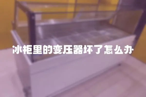 冰柜里的變壓器壞了怎么辦